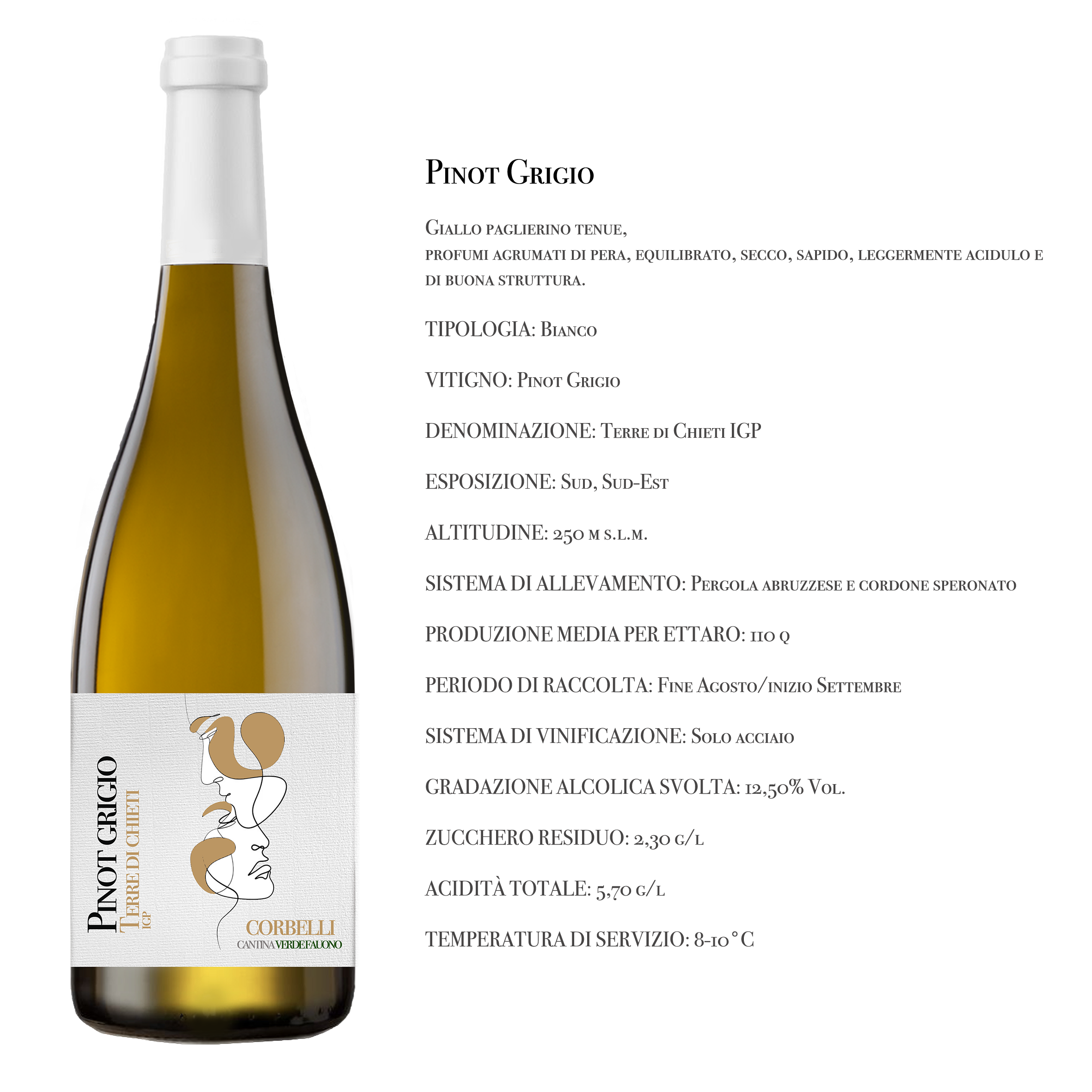 Scelta 8
