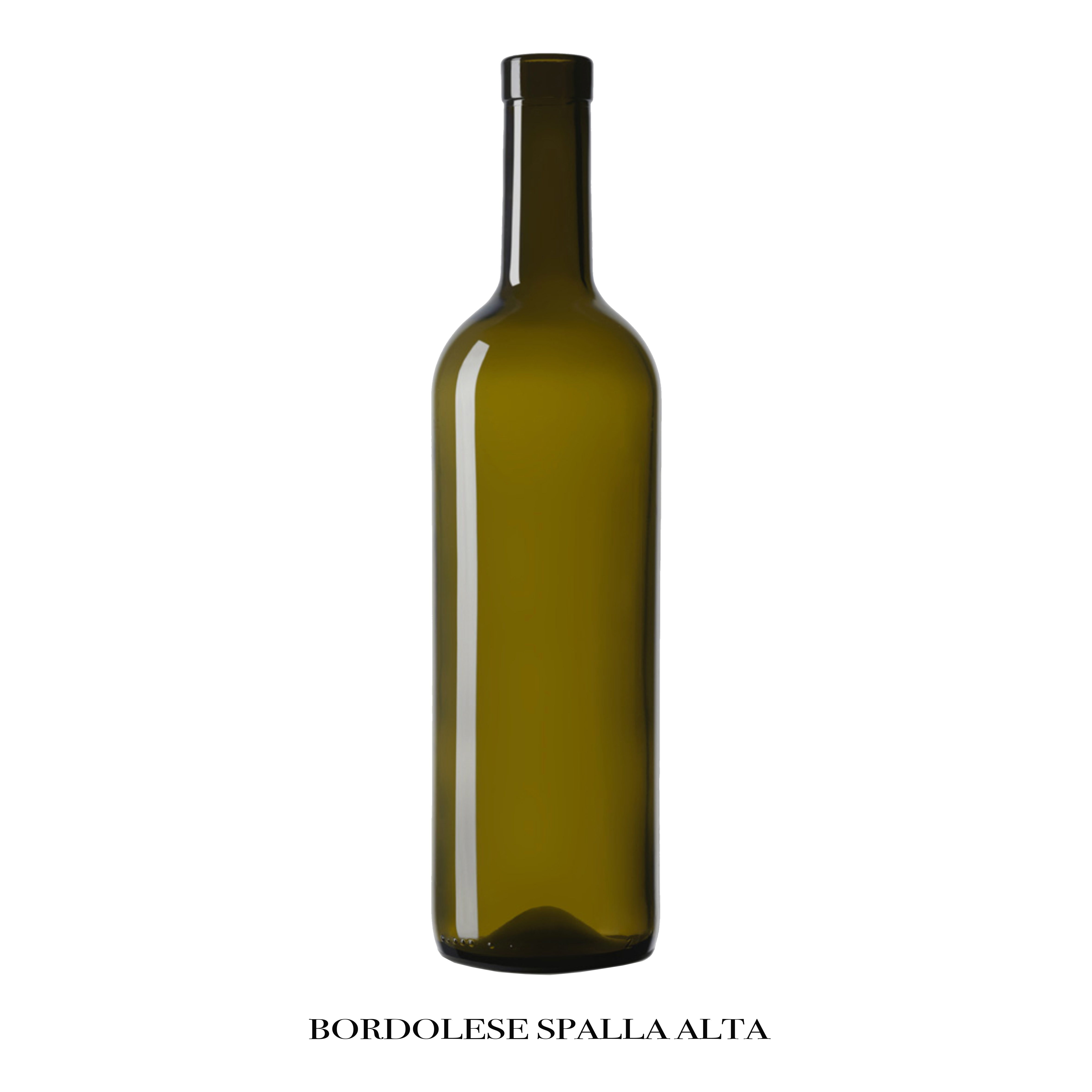 Scelta 6