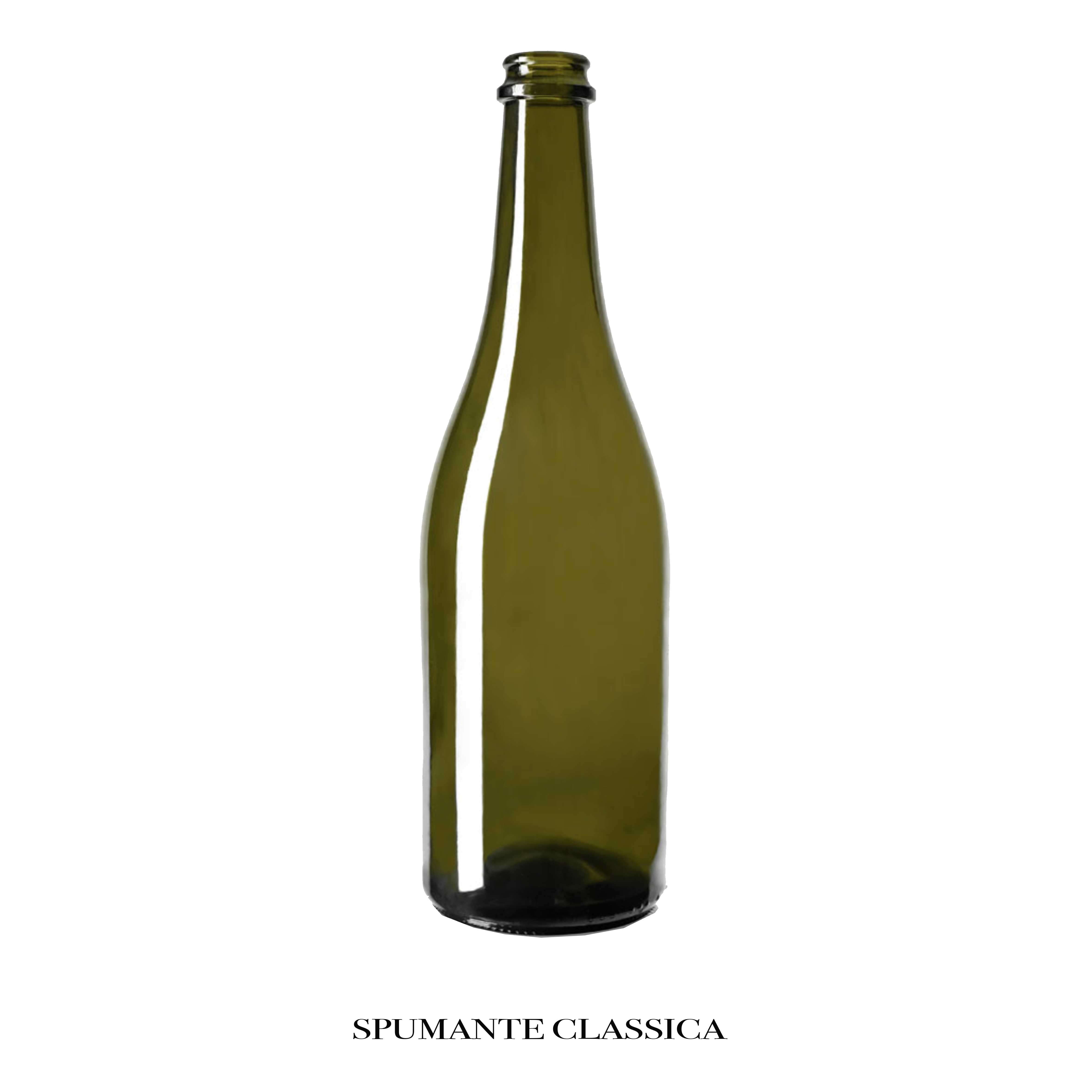 Scelta 8